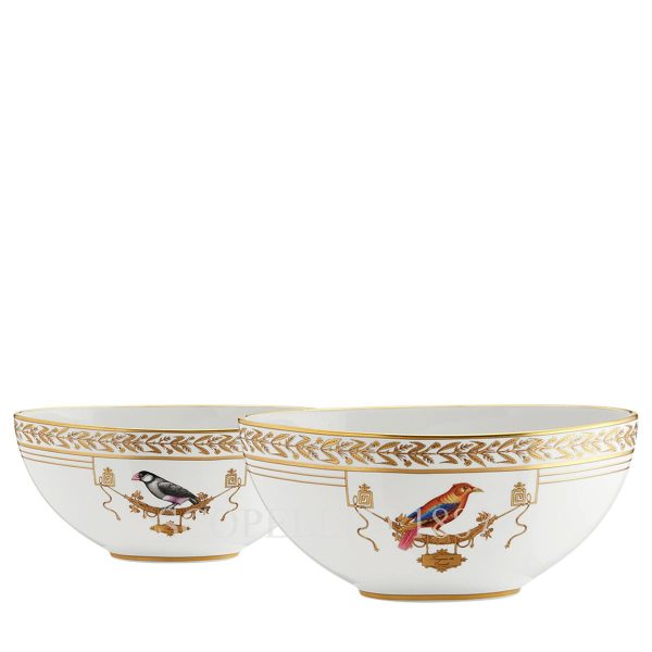 ginori voliere oval bowl