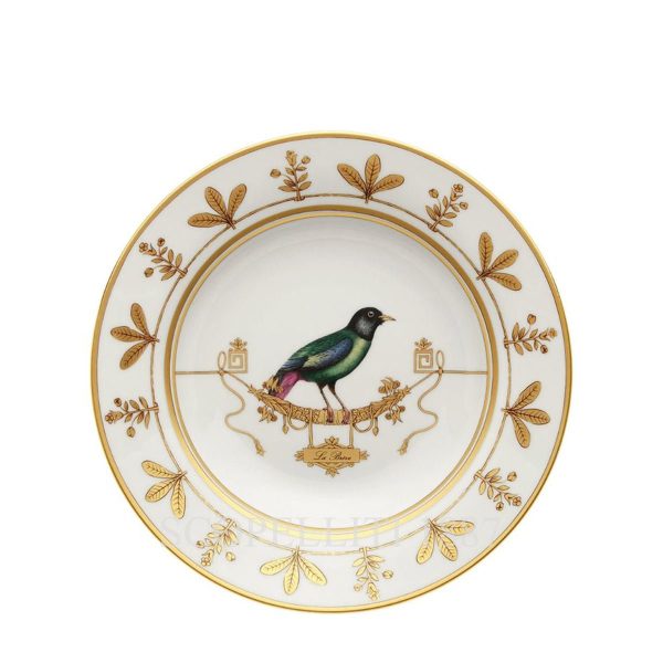 ginori voliere soup plate la breve