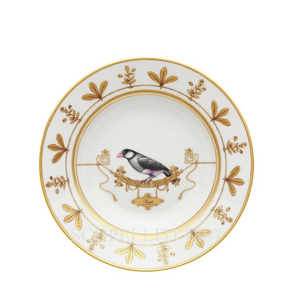 ginori voliere soup plate padda