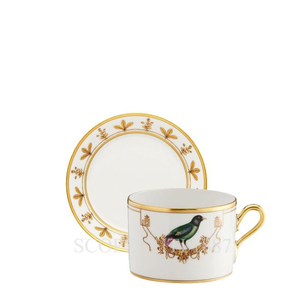 ginori voliere tea cup with saucer la breve