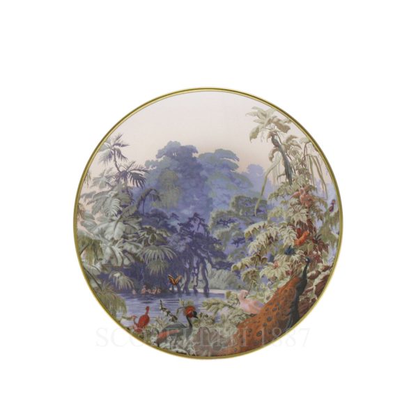 haviland le brésil bread plate