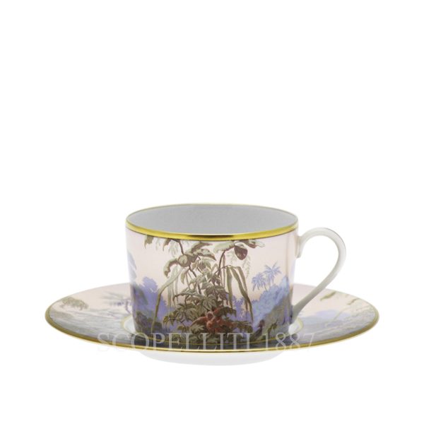 haviland le bresil cappuccino cup