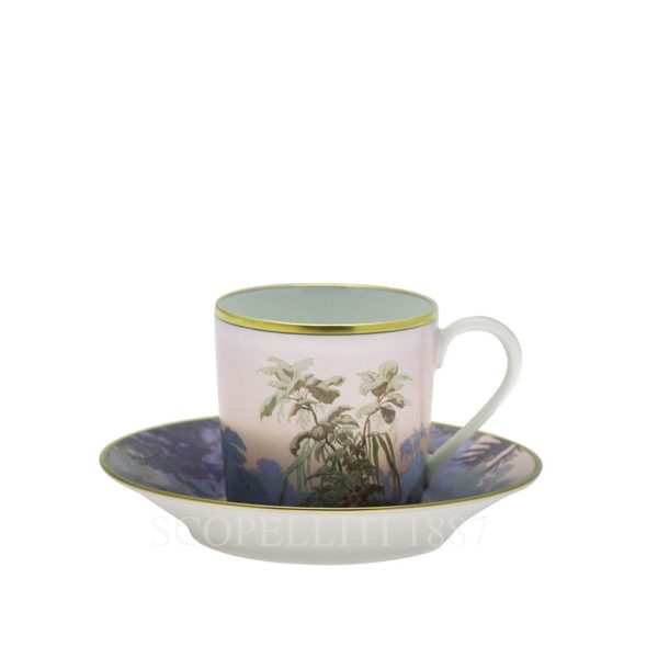 haviland le bresil coffee cup gift set