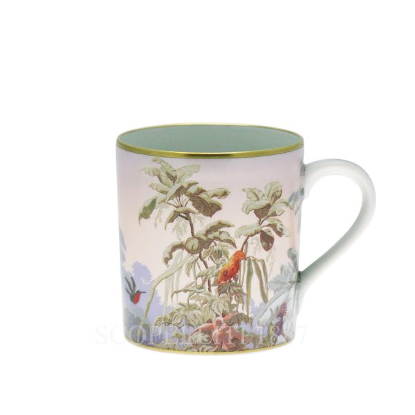 haviland le bresil mug