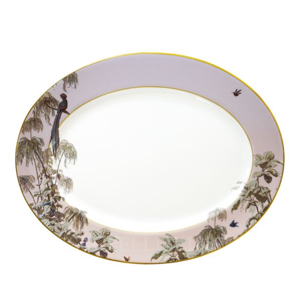 haviland le bresil oval platter