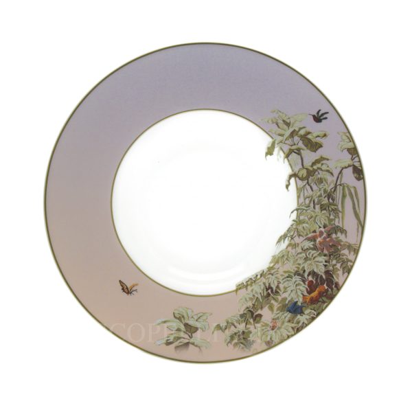 haviland le bresil soup plate