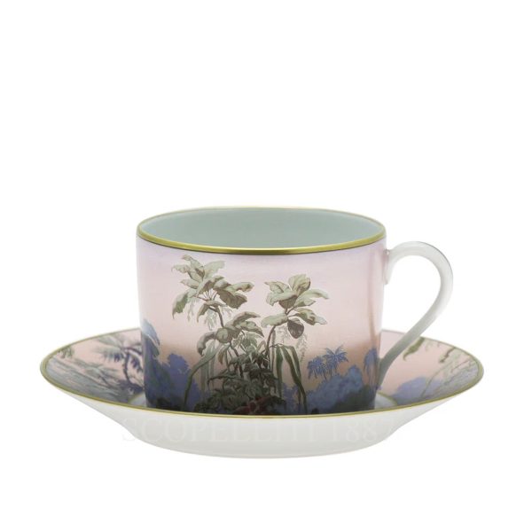 haviland le bresil tea cup gift set
