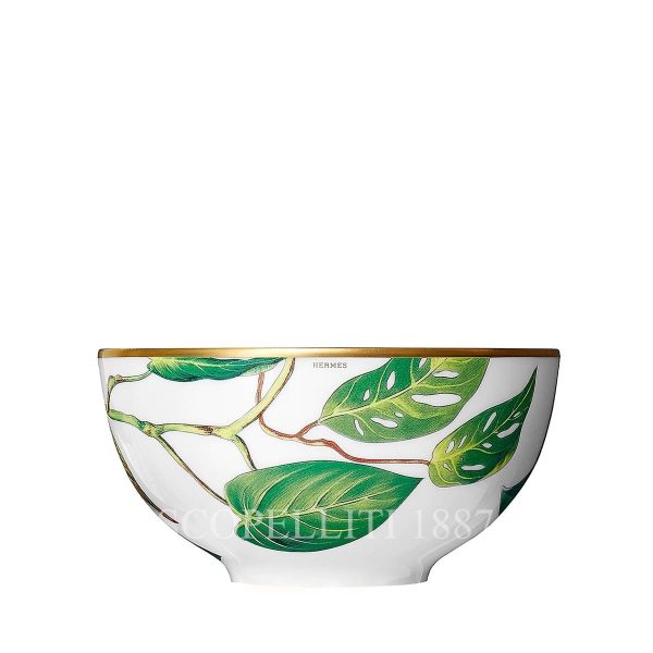 hermes passifolia new collection porcelain bowl