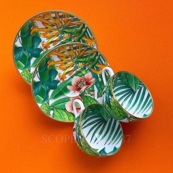 hermes passifolia tea cups