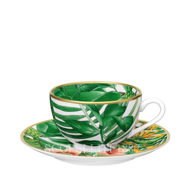 hermes passifolia tea cup and saucer set