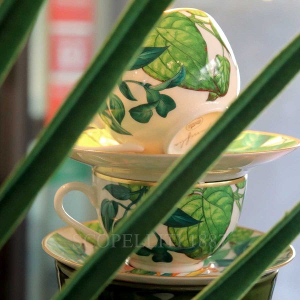 hermes passifolia tea cups