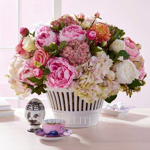 oriente italiano albus photo egg