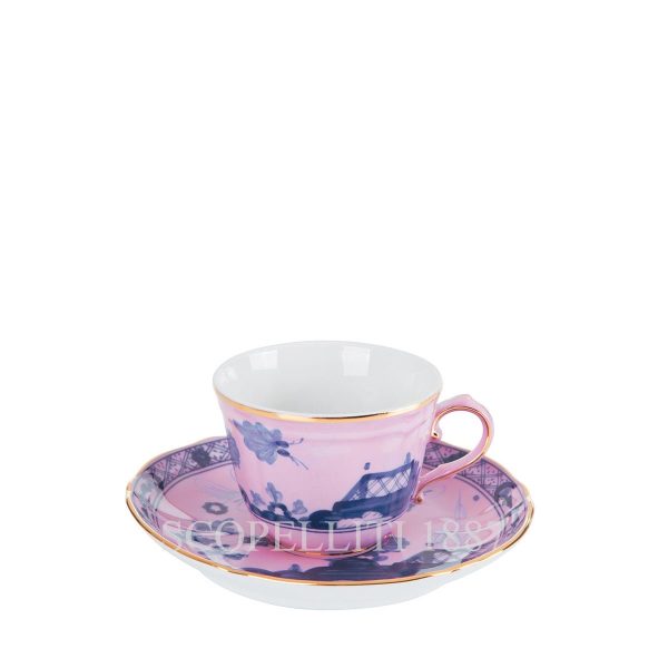 Ginori 1735 Coffee Cup and Saucer Oriente Italiano Azalea