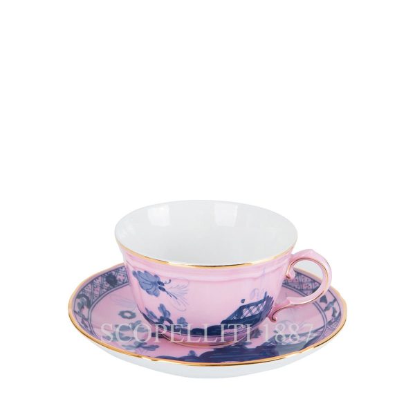 Ginori 1735 Tea Cup and Saucer Oriente Italiano Azalea