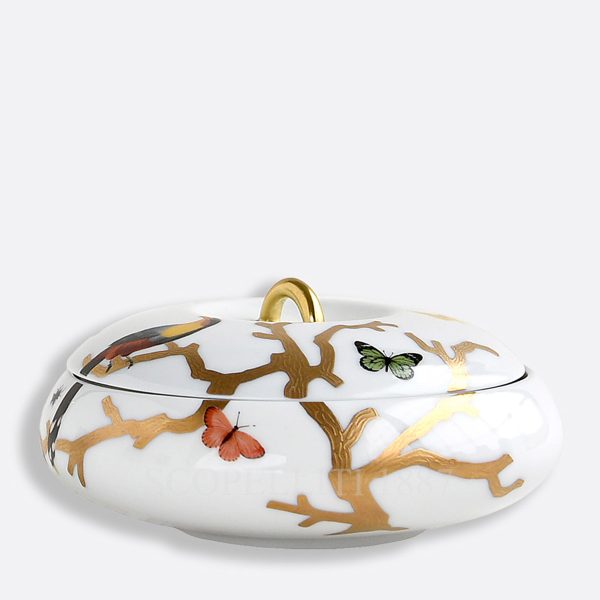 bernardaud aux oiseaux pebble box in limoges porcelain