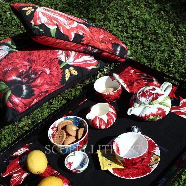 picnic emotion taitu