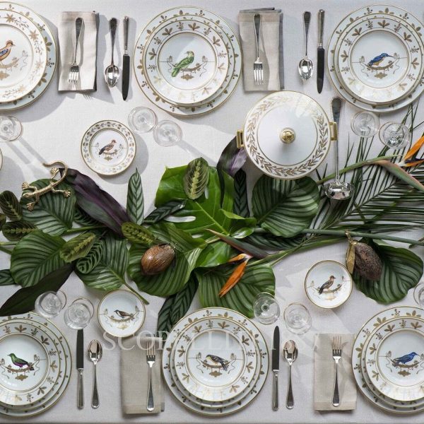 richardginori voliere presentation