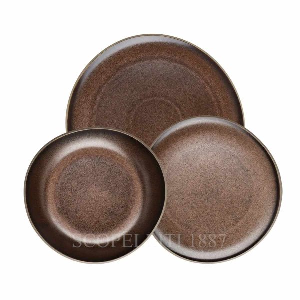 rosenthal junto bronze dinner set