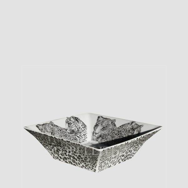 taitu all purpose medium dish wild spirit leopard set