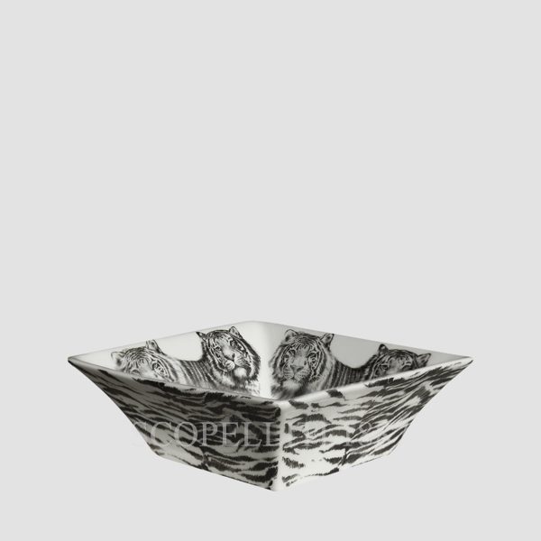 taitu all purpose medium dish wild spirit tiger set