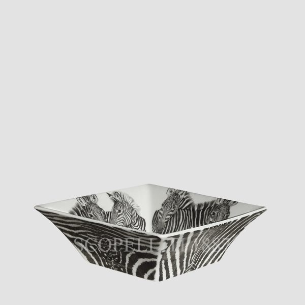 taitu all purpose medium dish wild spirit zebra set