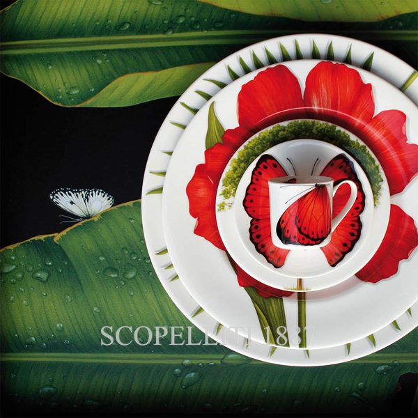 taitu freedom assorted dinner plates