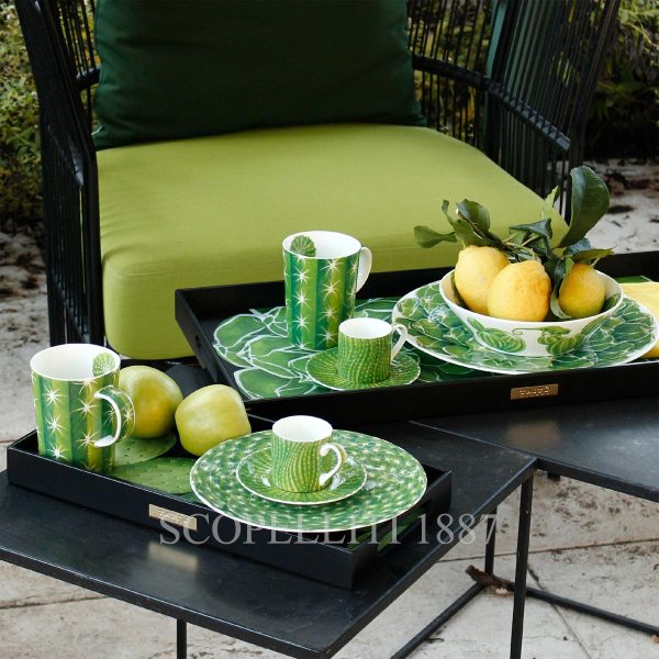 taitu breackfast cactus