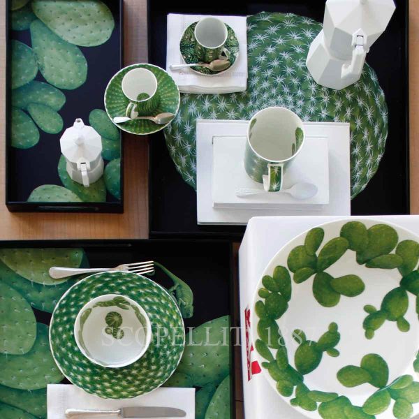 taitu cactus composition