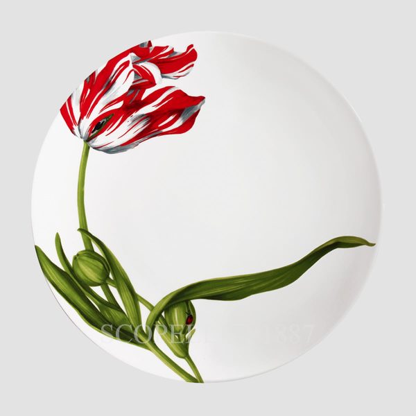 Taitù Emotion Dinner Plate - Set of 4