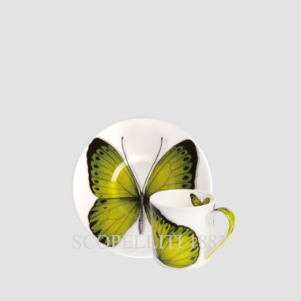 taitu freedom espresso green frontal