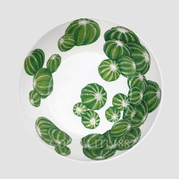 Taitù Cactus Medium Bowl