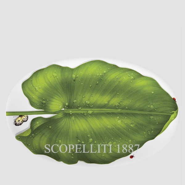 Taitù Freedom Oval Platter