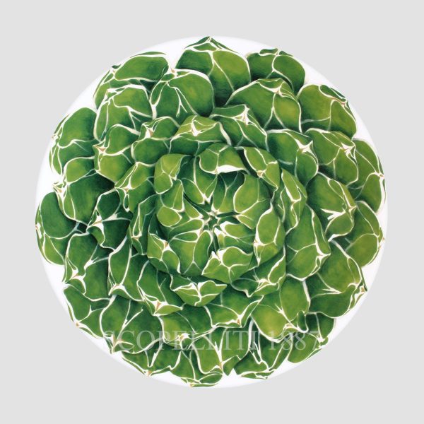 Taitù Cactus Presentation Plate - Set of 4