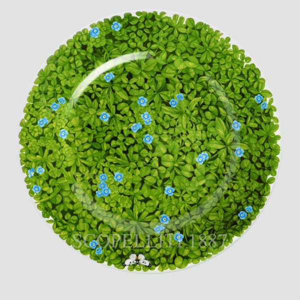 taitu plate presentation