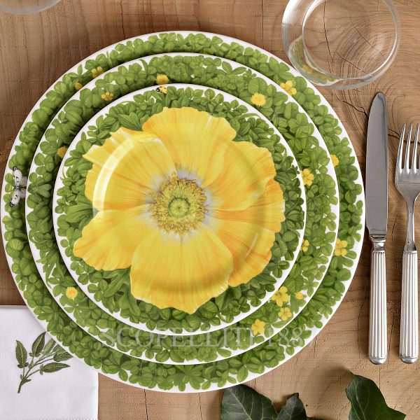 taitu plate presentation