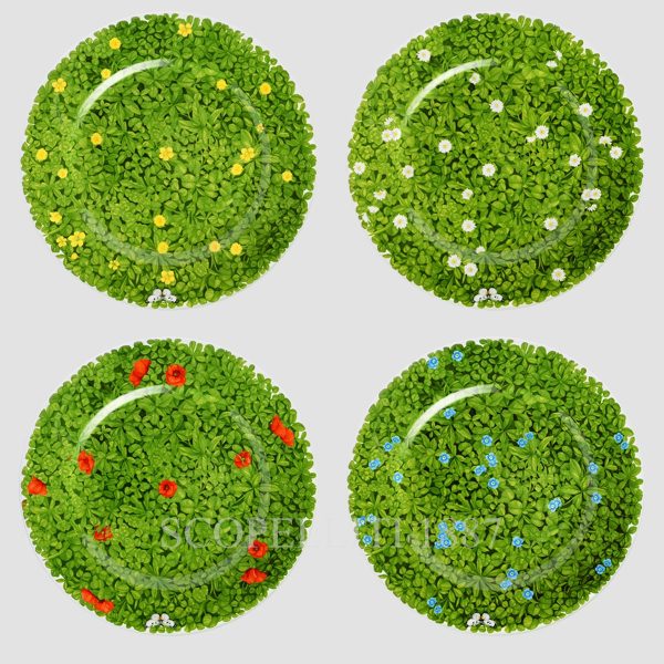 Taitù Prati Italiani Presentation Plate