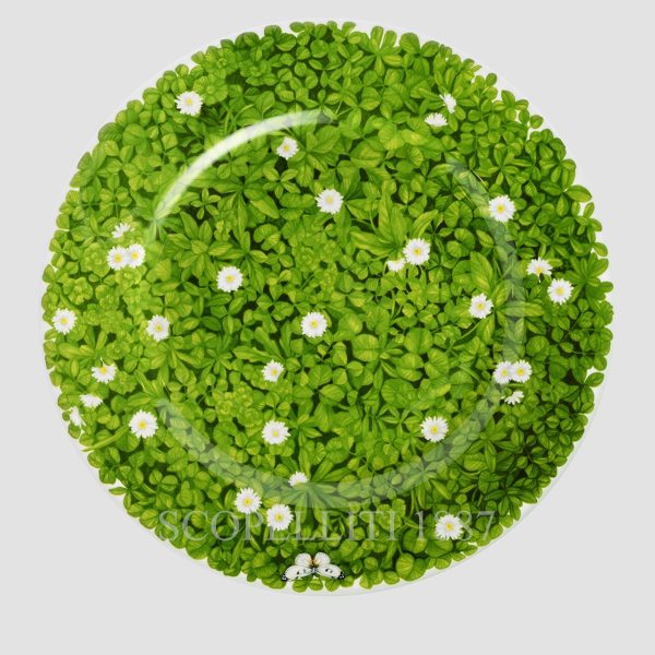 taitu plate presentation