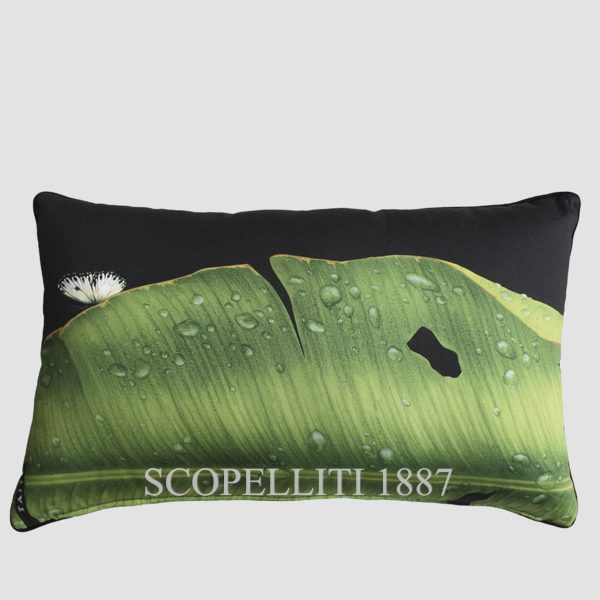 Taitù Freedom Rectangular Cushion