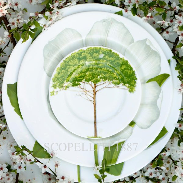 taitu freedom dinner plates