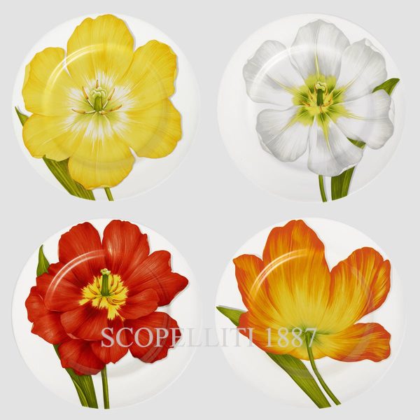 Taitù Freedom Dinner Plates