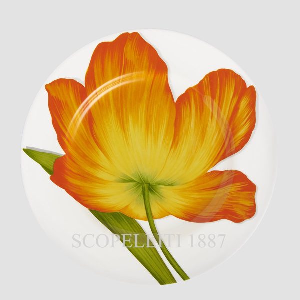 taitu freedom dinner plate orange