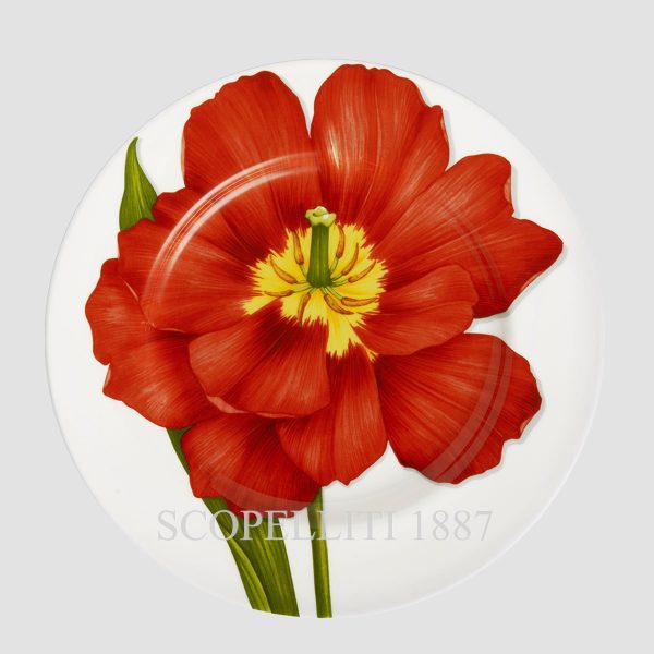 taitu freedom dinner plate red