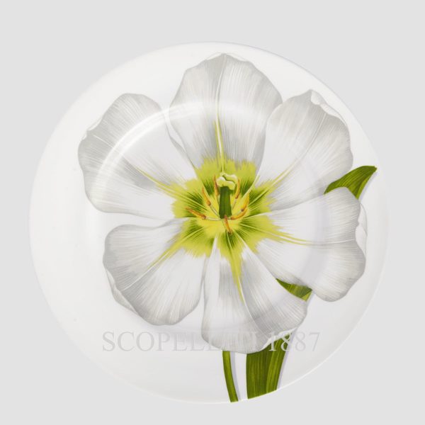 taitu freedom dinner plate white