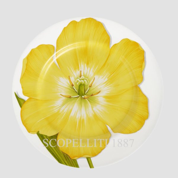 taitu freedom dinner plate yellow