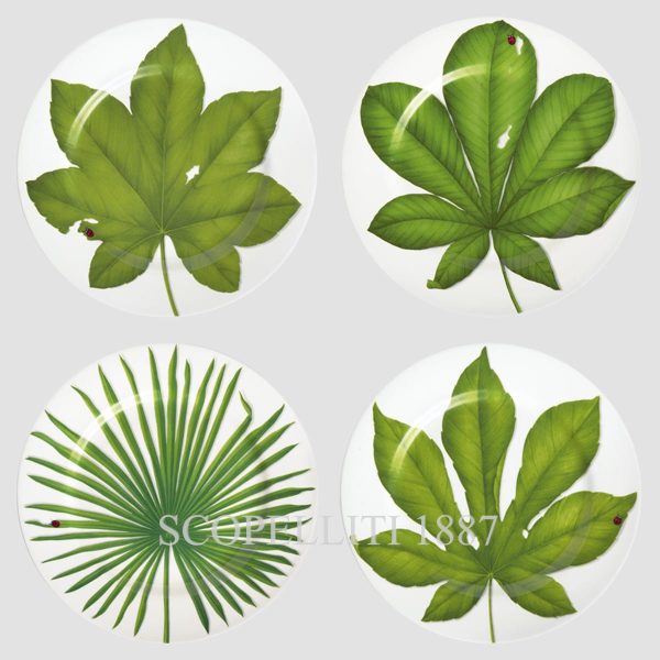 Taitù Freedom Presentation Plates Set of 4 assorted