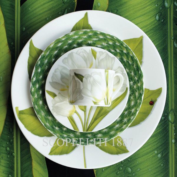 taitu freedom tea cups with saucer green