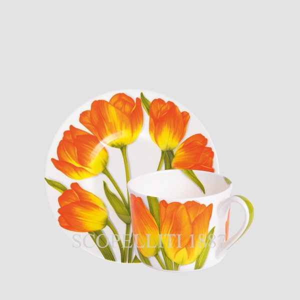 taitu freedom tea cups with saucer orange