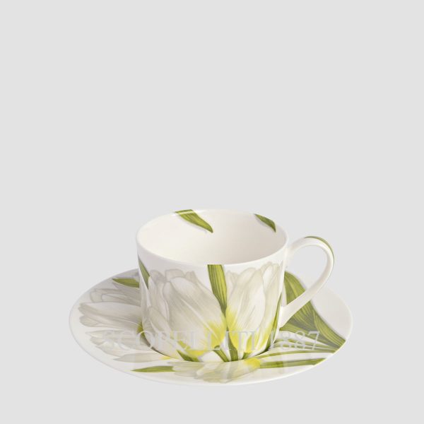 taitu freedom tea cups white