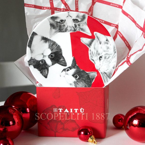 taitu small plate cats best friends