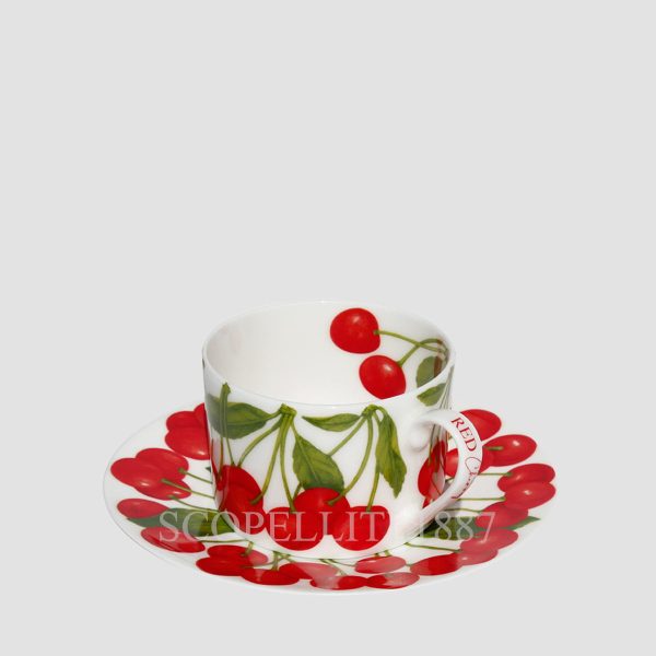 taitu tea cup with saucer